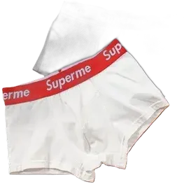 Cheaper Supreme Underwear (4 Variants)