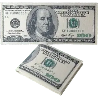 Dollar Bill Wallet