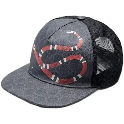 Gucci Snake Cap