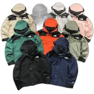 North Face Gore-Tex Jacket #1