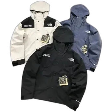 North Face Gore-Tex Jacket #2