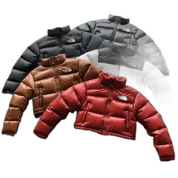 North Face Nupste Short Puffer Jacket (Womens)