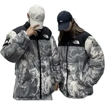 North Face x Supreme Puffer Jacket (Fantasy)