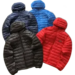 Patagonia Down Jacket