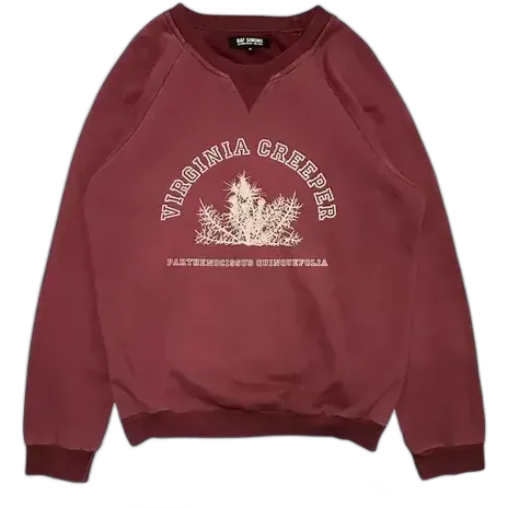 RAF Simons Virginia Creeper Red Sweater