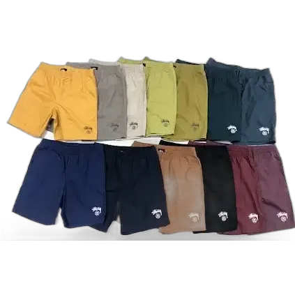 Stussy Shorts (48 Variants)