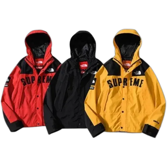 Supreme x The North Face Arc Logo Mountain Parka SS19
