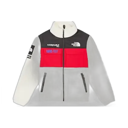 Supreme x The North Face Expedition Fleece Jacket #1