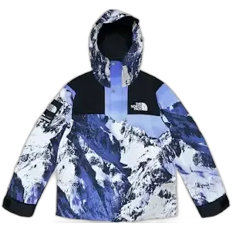 Supreme x North Face Mountain Parka Jacket