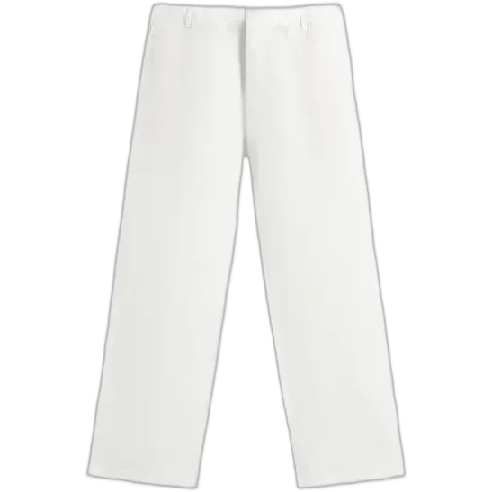 Unbranded Linen Pants