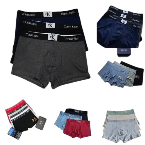 Various Underwear (31 Variants)