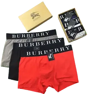 Burberry Underwear — product photo