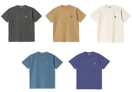 Carhartt WIP Nelson Tees (5 Variants) — product photo