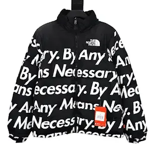 Cheap Supreme x North Face Puffer Jacket — product photo