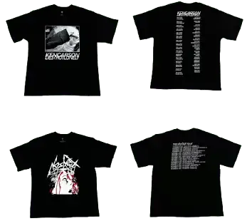 Destroy Lonely Alyx Tees — product photo
