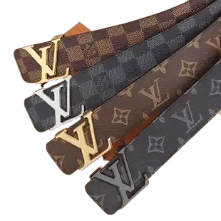 Louis Vuitton Belts #1 (37 Variants)