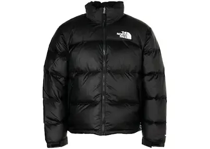 North Face 1996 Nupste Puffer Jacket [WWTOP Batch] — product photo