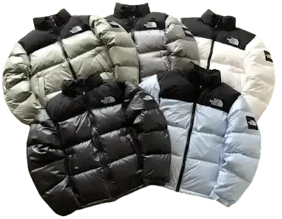 North Face 1996 Nupste Puffer Jacket [Husky Batch] #2 — product photo