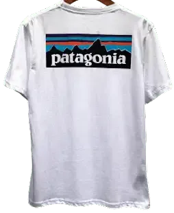 Patagonia Tee (18 Variants) — product photo