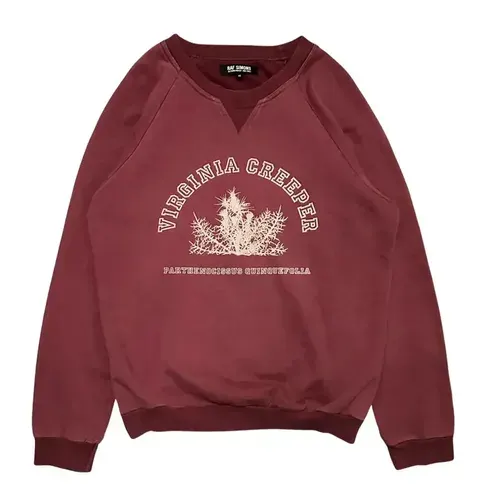 RAF Simons Virginia Creeper Red Sweater — product photo