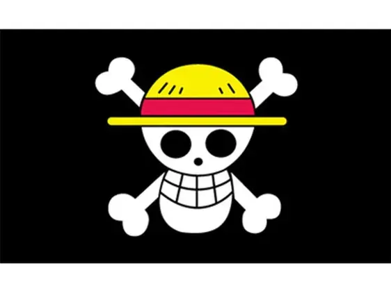Straw Hat Pirates Flag — product photo