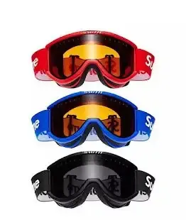 Supreme Ski Goggles — product photo