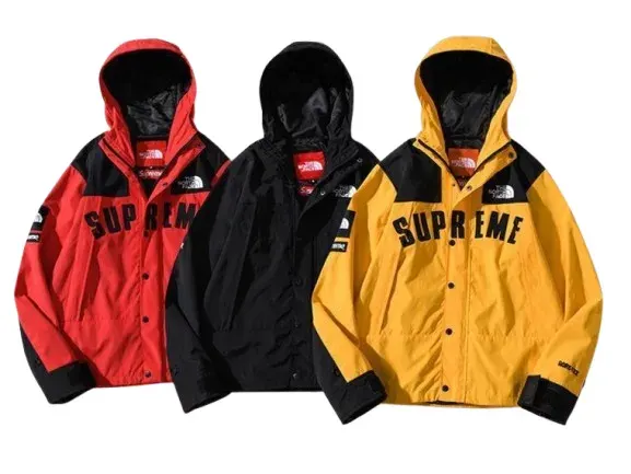 Supreme x The North Face Arc Logo Mountain Parka SS19 — product photo