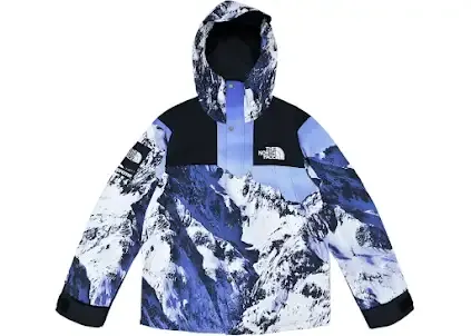 Supreme x North Face Mountain Parka Jacket — product photo