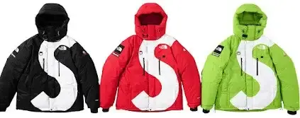 Supreme x North Face S Logo Summit Series Himalayan Parka — product photo